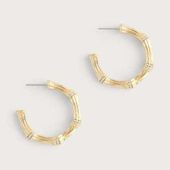 Bamboo Medium Hoop Earrings