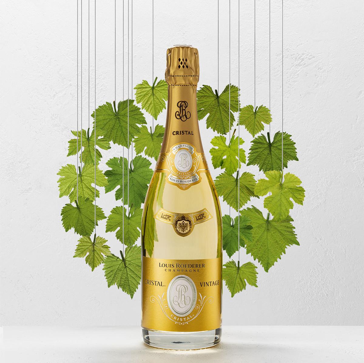Wines