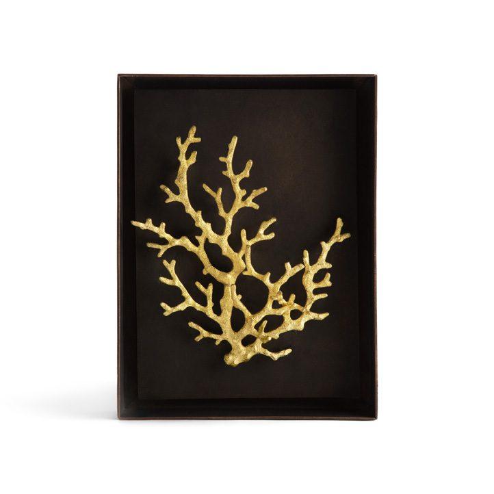 Anemone Shadow Box