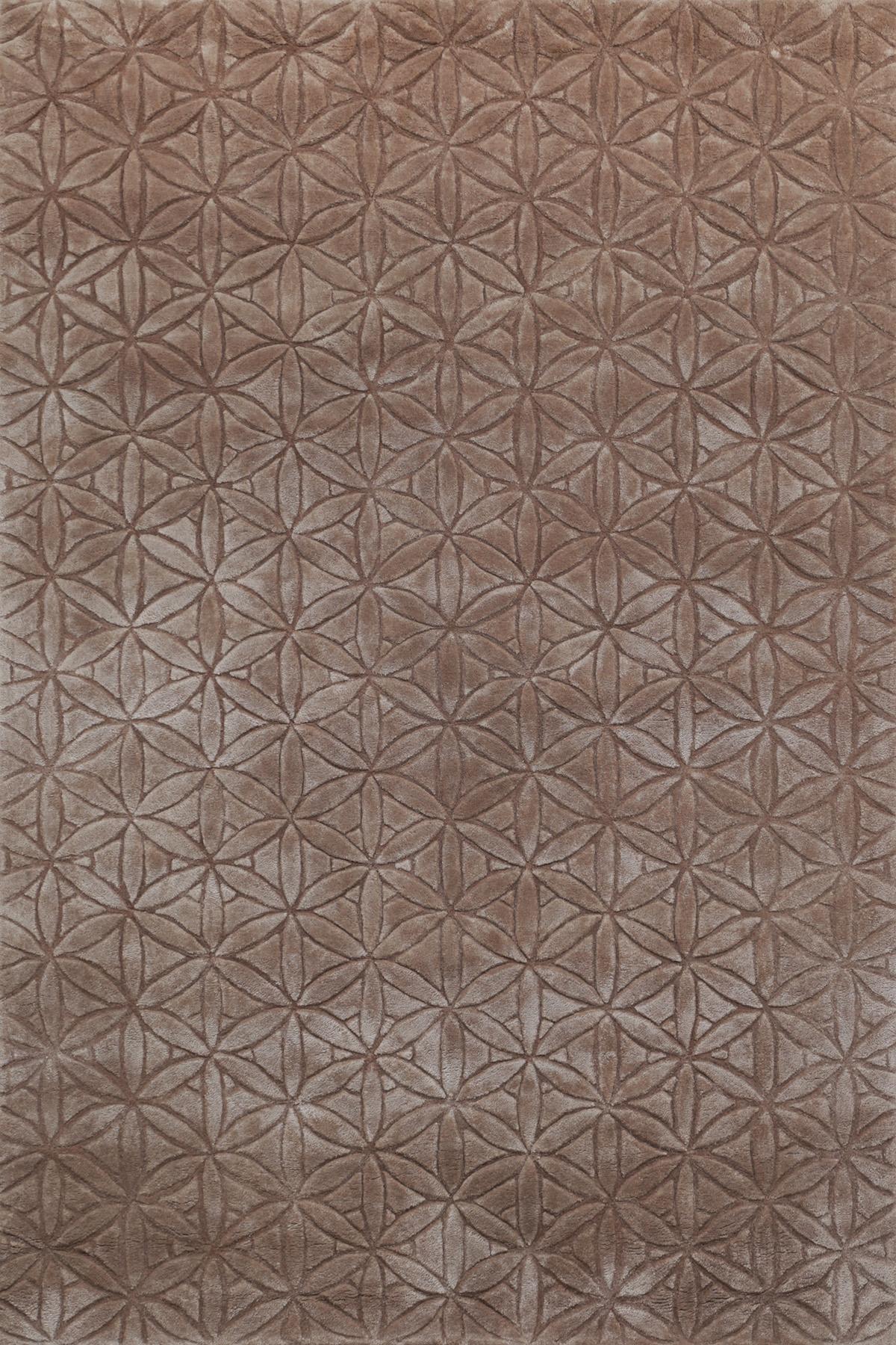 Univers Taupe