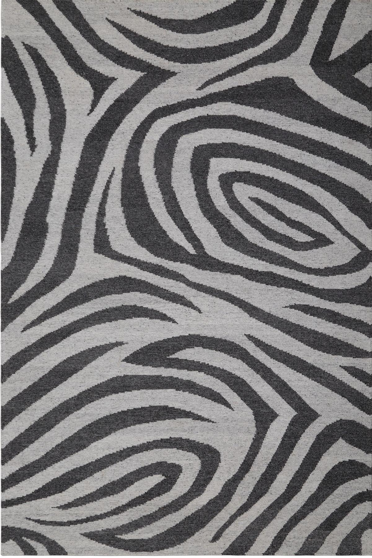 Zebre Gris